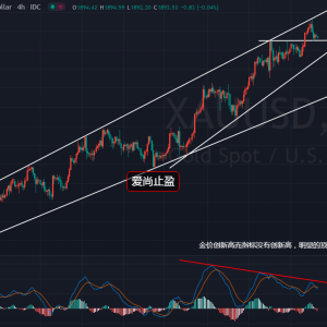 ����ֹӯ���S�������֮�ǣ��������տ����䣡