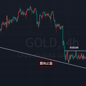 ����ֹӯ�����r����̽�׻������Ճ��S�𕺿���ʎ��