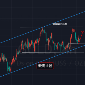 ����ֹӯ���S�������������������1805���^�m�࣡