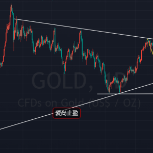 ����ֹӯ�����g�µ����m��S�𷴳�1755����