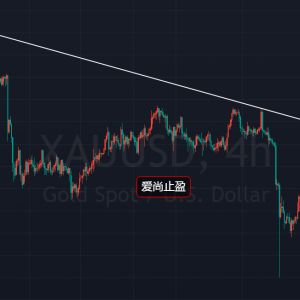 ����ֹӯ���S������׷�����վ����ƿ�������