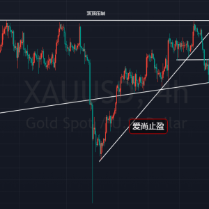 ����ֹӯ���S��̽���ٻ�������ˮ�X�Pע1802��