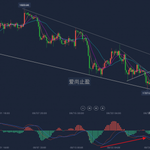 ����ֹӯ���ײ����x�辯����������ˮ�X1745��