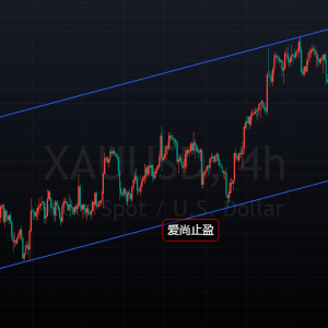 ����ֹӯ���S��1781��֧�Σ����ڷ��������m��