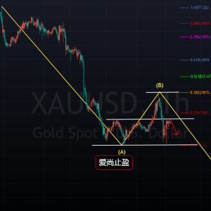 ����ֹӯ���S����ڴ���磬���wڅ��߀�ǿգ�