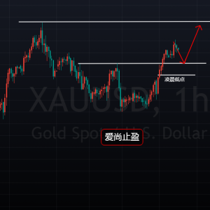 ����ֹӯ���S���{����λ����������Ͷ࣡