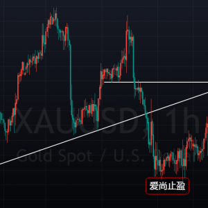 ����ֹӯ���S�����g�����m�������Pע1811.5��