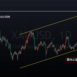 ����ֹӯ�����g�µ����m��S���ȶ࿴���飡