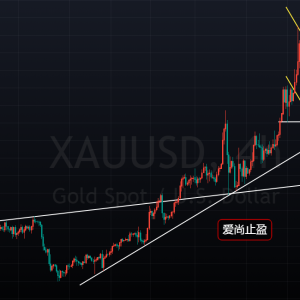 ����ֹӯ���S�𳬵��߷������Ճ��S��՞�����