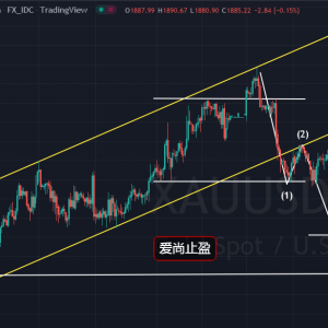 ����ֹӯ���S�𲨶οի@���������ȶ࿴���飡