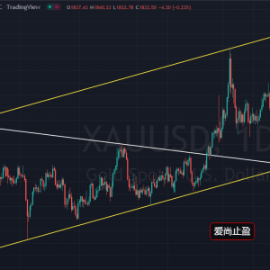 ����ֹӯ���S������׷�գ�1832���࿴���飡