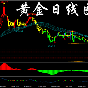 �Y�������������L��,�S��̾�����ָ���ޏ���