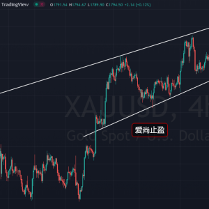 ����ֹӯ���S�����߻��䣬�ՃȵͶ࿴������